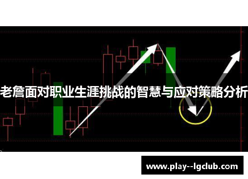 老詹面对职业生涯挑战的智慧与应对策略分析 老詹面对职业生涯挑战的智慧与应对策略分析