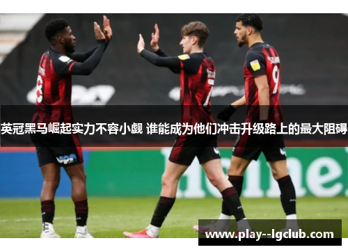 英冠黑马崛起实力不容小觑 谁能成为他们冲击升级路上的最大阻碍