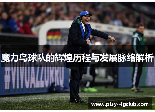 魔力鸟球队的辉煌历程与发展脉络解析