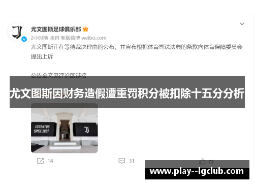 尤文图斯因财务造假遭重罚积分被扣除十五分分析